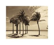 Key Biscayne II-Dennis Kelly-Laminated Giclee Print