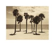 Key Biscayne I-Dennis Kelly-Giclee Print