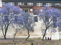 Monks, Punakha Dzong Palance, Bhutan-Dennis Kirkland-Photographic Print