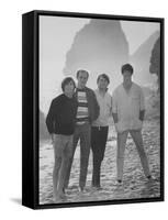 Dennis Wilson, Mike Love, Carl Wilson and Brian Wilson of the Beach Boys, Posing on Beach-Bill Ray-Framed Stretched Canvas