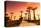 Stretched Canvas