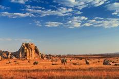 Baobab Panorama Sunset-dennisvdw-Photographic Print