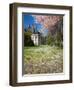 Denny Hall with Blooming Cherry Trees, University of Washington, Seattle, Washington, USA-Jamie & Judy Wild-Framed Premium Photographic Print