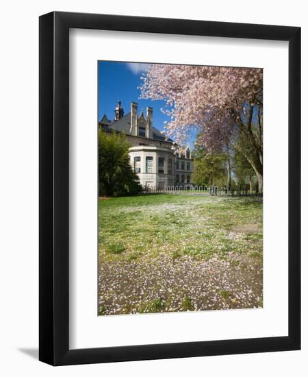 Denny Hall with Blooming Cherry Trees, University of Washington, Seattle, Washington, USA-Jamie & Judy Wild-Framed Premium Photographic Print