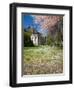 Denny Hall with Blooming Cherry Trees, University of Washington, Seattle, Washington, USA-Jamie & Judy Wild-Framed Premium Photographic Print