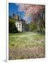 Denny Hall with Blooming Cherry Trees, University of Washington, Seattle, Washington, USA-Jamie & Judy Wild-Framed Photographic Print