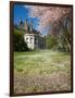 Denny Hall with Blooming Cherry Trees, University of Washington, Seattle, Washington, USA-Jamie & Judy Wild-Framed Photographic Print