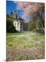 Denny Hall with Blooming Cherry Trees, University of Washington, Seattle, Washington, USA-Jamie & Judy Wild-Mounted Photographic Print