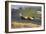 Denny Hulme, Dutch Grand Prix, Zandvoort, 1968-null-Framed Photographic Print