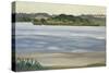 Denny Island, Chew Valley Lake-Anna Teasdale-Stretched Canvas