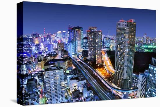 Dense Buildings In Minato-Ku, Tokyo Japan With Tokyo Sky Tree Visible On The Horizon-SeanPavonePhoto-Stretched Canvas