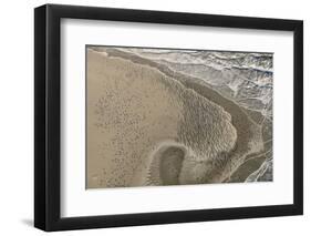 Dense Flock of Great Cormorants (Phalacrocorax Carbo) Resting on a Sandbank at Scroby Sands-Nick Upton-Framed Photographic Print