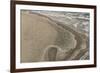 Dense Flock of Great Cormorants (Phalacrocorax Carbo) Resting on a Sandbank at Scroby Sands-Nick Upton-Framed Photographic Print