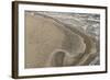 Dense Flock of Great Cormorants (Phalacrocorax Carbo) Resting on a Sandbank at Scroby Sands-Nick Upton-Framed Photographic Print