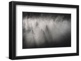 Dense fog covering the trees of forest at dawn, Italy, Europe-Roberto Moiola-Framed Photographic Print