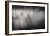 Dense fog covering the trees of forest at dawn, Italy, Europe-Roberto Moiola-Framed Photographic Print