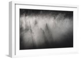 Dense fog covering the trees of forest at dawn, Italy, Europe-Roberto Moiola-Framed Photographic Print