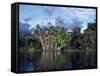 Dense Forest Bordering the Napo River, Ecuador, South America-Sassoon Sybil-Framed Stretched Canvas