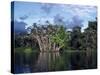 Dense Forest Bordering the Napo River, Ecuador, South America-Sassoon Sybil-Stretched Canvas