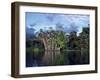 Dense Forest Bordering the Napo River, Ecuador, South America-Sassoon Sybil-Framed Photographic Print