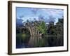 Dense Forest Bordering the Napo River, Ecuador, South America-Sassoon Sybil-Framed Photographic Print