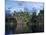 Dense Forest Bordering the Napo River, Ecuador, South America-Sassoon Sybil-Mounted Photographic Print