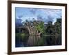 Dense Forest Bordering the Napo River, Ecuador, South America-Sassoon Sybil-Framed Photographic Print