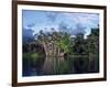 Dense Forest Bordering the Napo River, Ecuador, South America-Sassoon Sybil-Framed Photographic Print