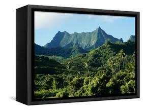 Dense Forests and Mountain Ppeaks, Rarotonga, Cook Islands, Polynesia-D H Webster-Framed Stretched Canvas