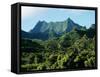 Dense Forests and Mountain Ppeaks, Rarotonga, Cook Islands, Polynesia-D H Webster-Framed Stretched Canvas