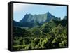 Dense Forests and Mountain Ppeaks, Rarotonga, Cook Islands, Polynesia-D H Webster-Framed Stretched Canvas