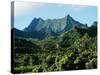 Dense Forests and Mountain Ppeaks, Rarotonga, Cook Islands, Polynesia-D H Webster-Stretched Canvas