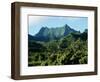 Dense Forests and Mountain Ppeaks, Rarotonga, Cook Islands, Polynesia-D H Webster-Framed Photographic Print