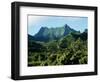 Dense Forests and Mountain Ppeaks, Rarotonga, Cook Islands, Polynesia-D H Webster-Framed Photographic Print