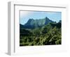 Dense Forests and Mountain Ppeaks, Rarotonga, Cook Islands, Polynesia-D H Webster-Framed Photographic Print