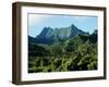 Dense Forests and Mountain Ppeaks, Rarotonga, Cook Islands, Polynesia-D H Webster-Framed Photographic Print