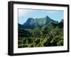 Dense Forests and Mountain Ppeaks, Rarotonga, Cook Islands, Polynesia-D H Webster-Framed Photographic Print