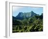 Dense Forests and Mountain Ppeaks, Rarotonga, Cook Islands, Polynesia-D H Webster-Framed Photographic Print