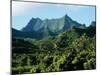 Dense Forests and Mountain Ppeaks, Rarotonga, Cook Islands, Polynesia-D H Webster-Mounted Photographic Print