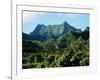 Dense Forests and Mountain Ppeaks, Rarotonga, Cook Islands, Polynesia-D H Webster-Framed Photographic Print