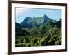 Dense Forests and Mountain Ppeaks, Rarotonga, Cook Islands, Polynesia-D H Webster-Framed Photographic Print