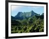 Dense Forests and Mountain Ppeaks, Rarotonga, Cook Islands, Polynesia-D H Webster-Framed Photographic Print