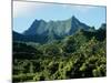 Dense Forests and Mountain Ppeaks, Rarotonga, Cook Islands, Polynesia-D H Webster-Mounted Photographic Print