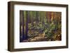 Dense Green Forest-Roxana_ro-Framed Photographic Print