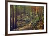 Dense Green Forest-Roxana_ro-Framed Photographic Print