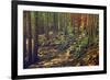 Dense Green Forest-Roxana_ro-Framed Photographic Print