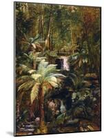 Dense Jungle in New Guinea-Charles E Gordon Frazer-Mounted Art Print