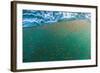 Dense Swarms of Juvenile Squat Lobster (Munida Gregaria) Off Akaroa-Michael Nolan-Framed Photographic Print