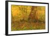 Dense Undergrowth, 1887-Vincent van Gogh-Framed Giclee Print
