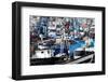 Densely Crowded Fishing Boats Moored in Tangier Fishing Harbour, Tangier, Morocco-Mick Baines & Maren Reichelt-Framed Photographic Print